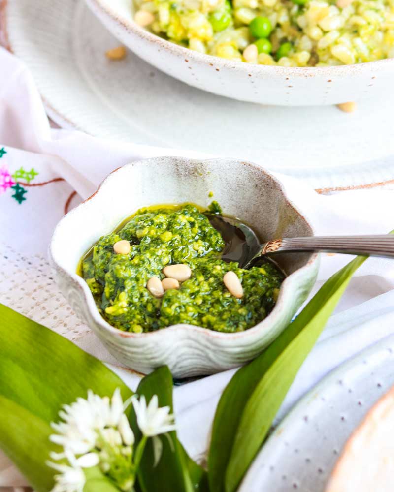 Wild Garlic Pesto Vegan Recipe