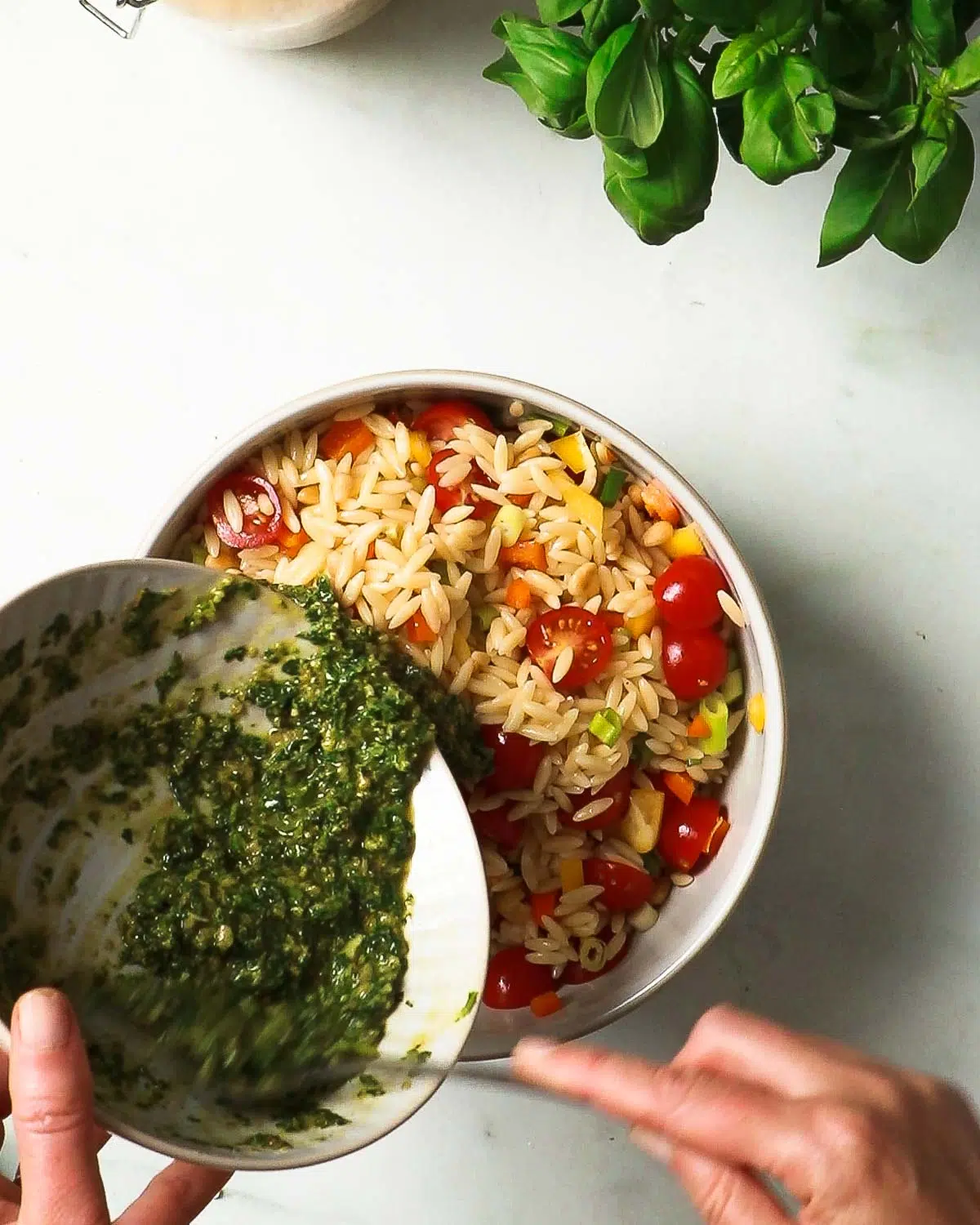 Tortino di pasta fillo e riso al pesto - Ricetta Petitchef, Ricetta