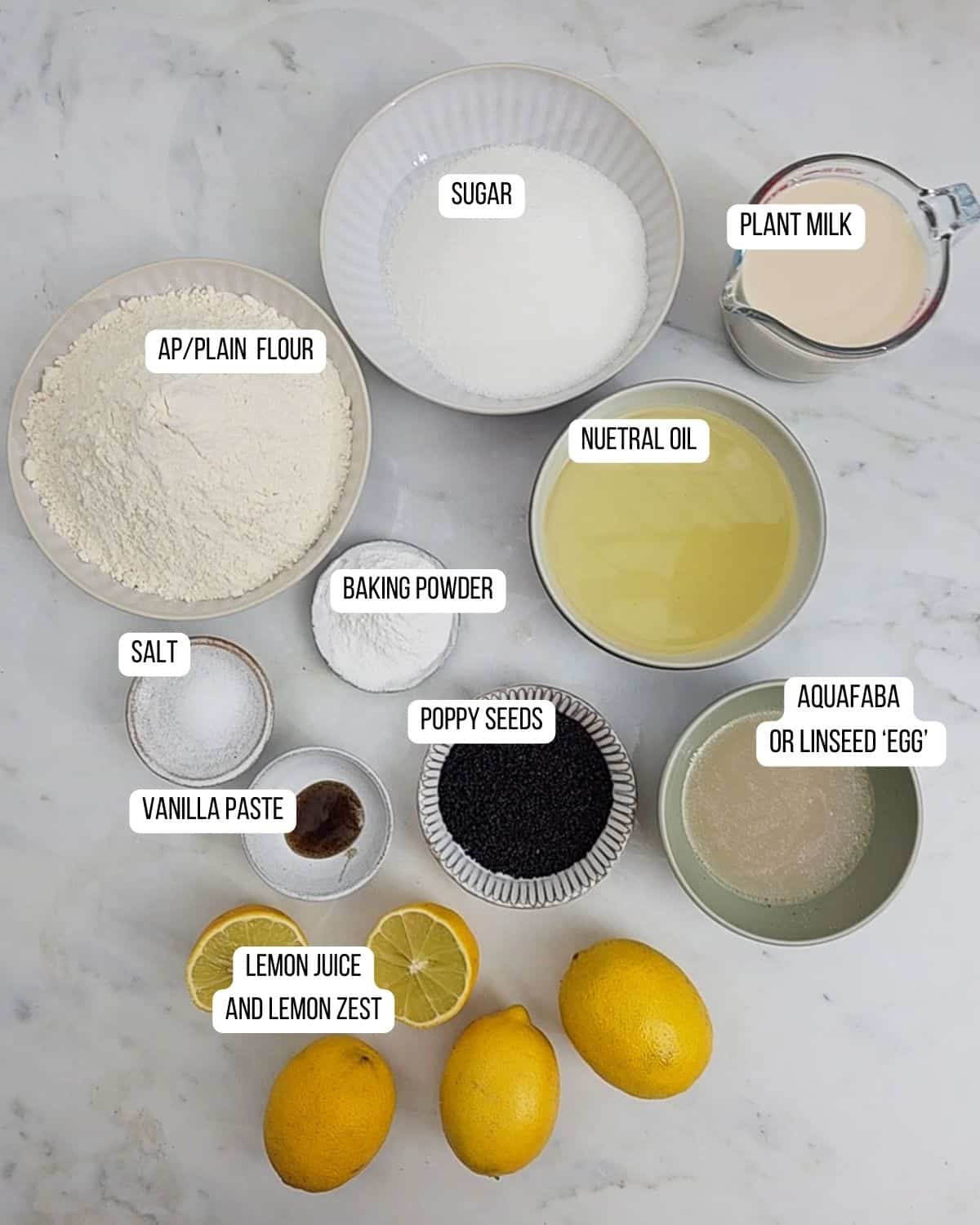 Ingredients for the dairy and egg free poppy seed lemon cake laid out. 