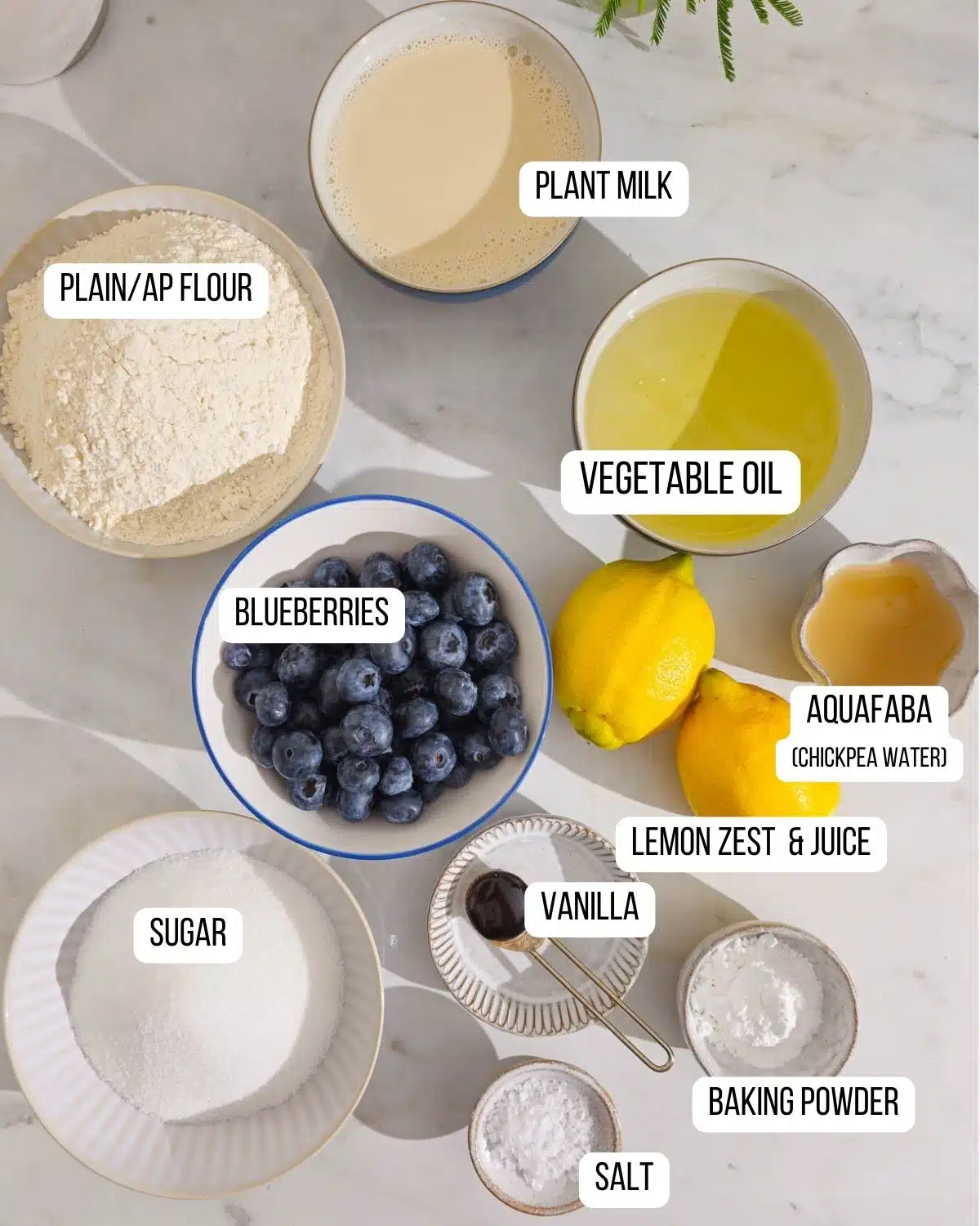 Ingredients for the vegan lemon blueberry cake laid out ready to use.