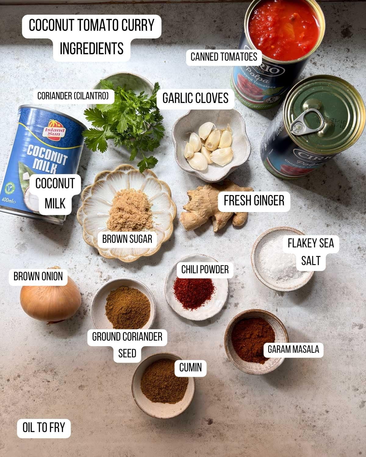 Ingredients for the coconut tomato curry sauce laid out ready to use.