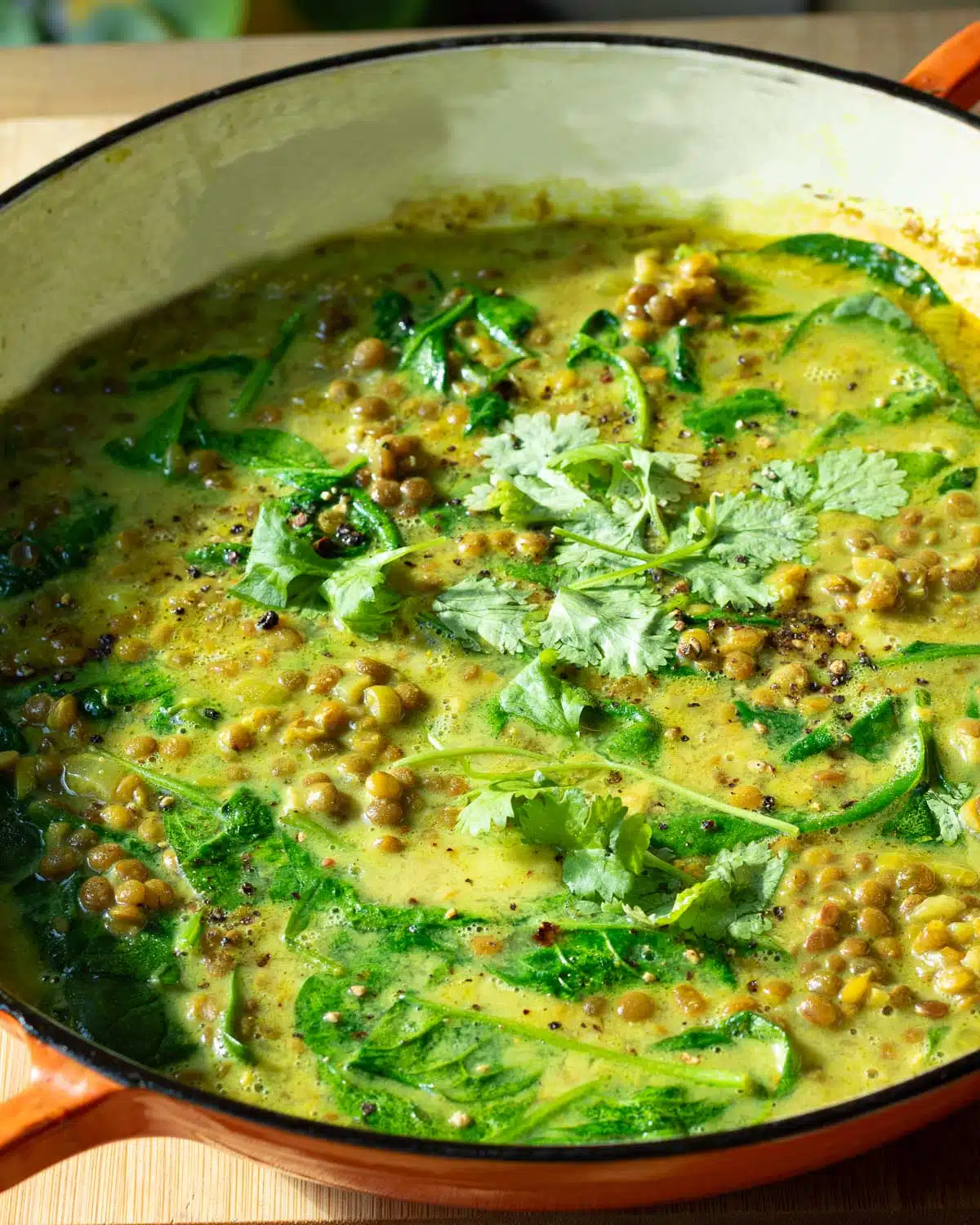 A pan of lentil soup in a creamy spiced coconut broth. There are coriander leaves sprinkled over the top.
