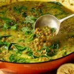 A pan of lentil soup in a creamy spiced coconut broth. There are coriander leaves sprinkled over the top.