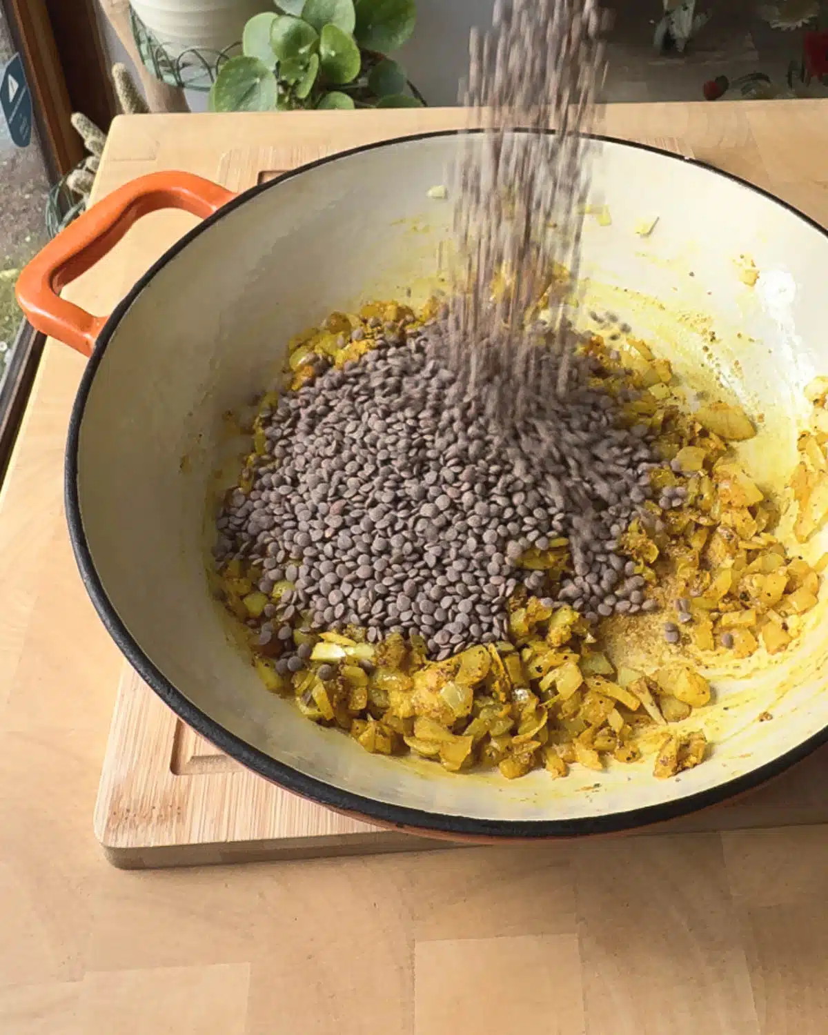 Add the lentils and mix to coat in the spices.